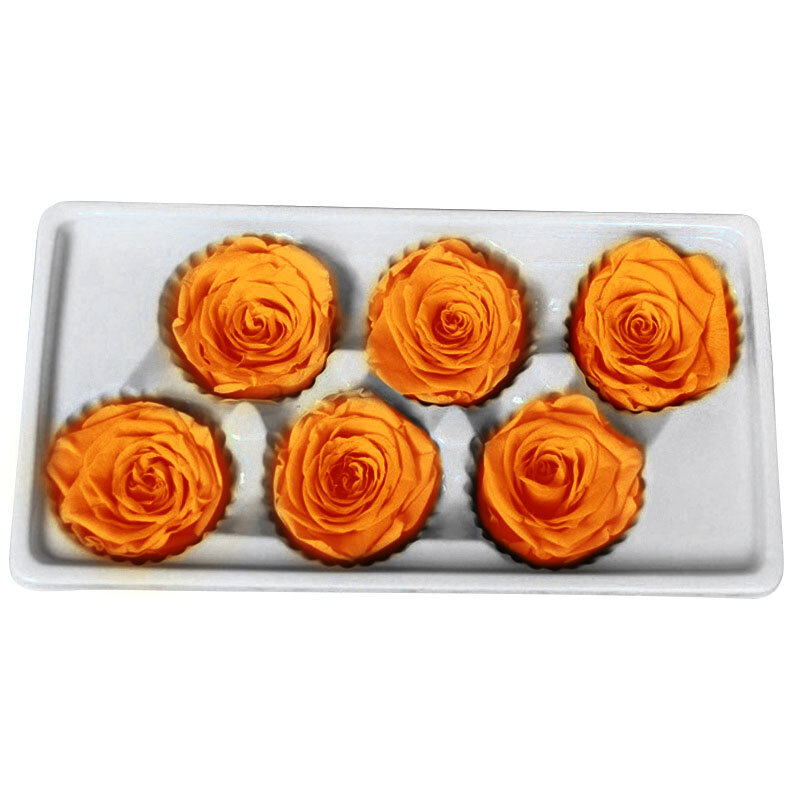 6 unids/caja de alta calidad y Rosa flor 5-6CM eterna flor de la vida, regalo de día de la Madre Día de San Valentín decoración del banquete de boda