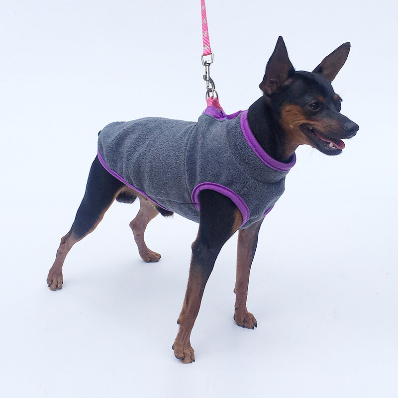 Roupas para cães inverno escovado casual colete quente pequeno cachorro moletom roupas para cães roupas de inverno chihuahua pet casaco roupas