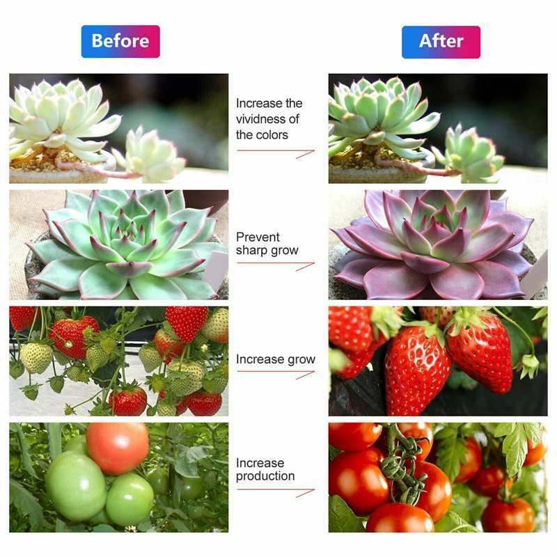 Lampe horticole de croissance USB à spectre complet, 0.5/1/3/5M, 2835, 5v dc, Phyto, éclairage pour plantes, fleurs, serres, hydroponique
