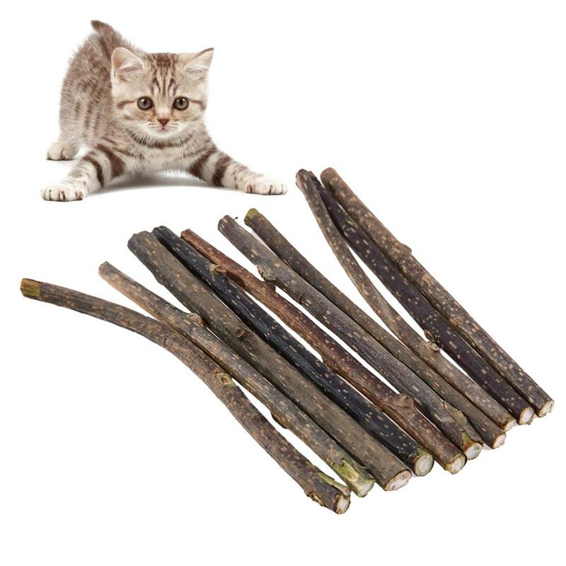 10/15/20 Pcs Cat ฟัน Sticks แปรงธรรมชาติ Catnip Pet Cat ยาสีฟันยาสีฟัน Stick ผลไม้ Matatabi Cat Snacks sticks