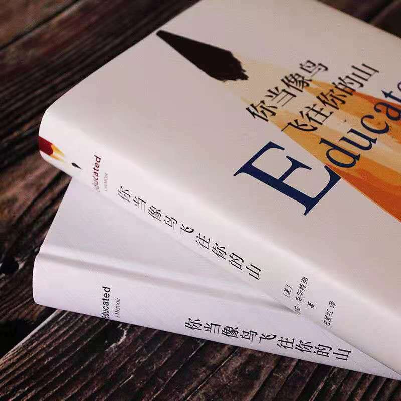 새로운 당신은 비행 산악 새처럼 현대 현대 문학 중국 책
