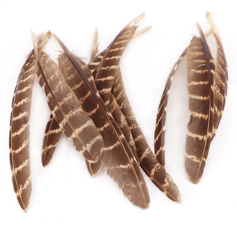 The New 20pcs/lot Elegant Lady Amherst Pheasant Feathers 15-20cm Diy Jewelry Accessories Feathers for Crafts