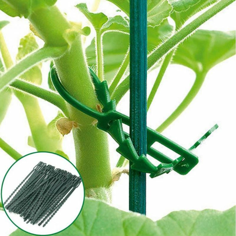 50Pcs/Set Garden Cable Ties Reusable Plant Support Shrubs Fastener Tree Locking Zip
