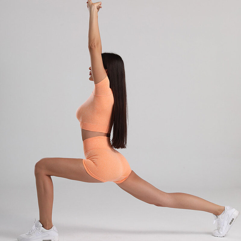 Leggings sem costura conjunto de yoga ginásio 2 pcs roupas esportivas terno de treino calças de cintura alta conjunto de treino