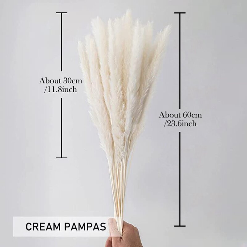 Natural Real Pampas Grass Table Dried Flowers Decor Boho Artificial Plants Mariage Home Decoration Wedding Christmas Accessories