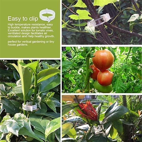 Gesicherter Pflanzen Kunststoff Kẹp Nhựa Vật Có Kẹp Hỗ Trợ Kết Nối Có Thể Tái Sử Dụng Bảo Vệ Ghép Sửa Dụng Cụ Làm Vườn Sử