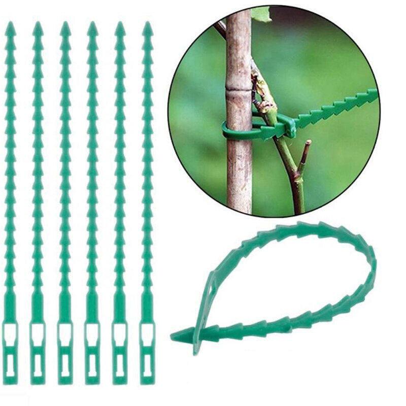 10Pcs Tuinieren Helper Multi-Gebruik Herbruikbare Banden Voor Klimmen Gemakkelijk Flexibele Plastic Plant Kabelbinders Plant