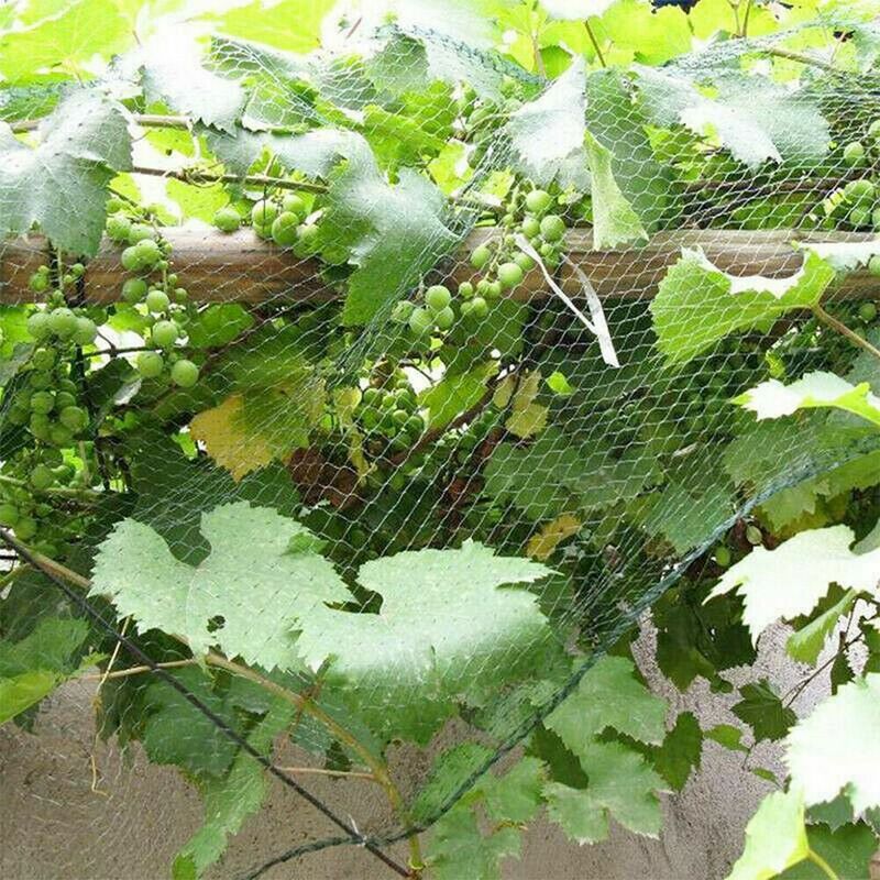 Anti-pássaro rede 20x20mm polietileno lagoa árvores de fruto vegetais proteção líquida culturas flor jardim malha proteger net controle de pragas