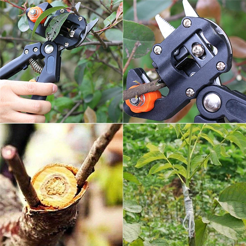 Enxertia pruner jardim enxertia ferramenta profissional cortador de ramo secateur poda tesouras de plantas caixas de árvore de fruto enxertia tesoura