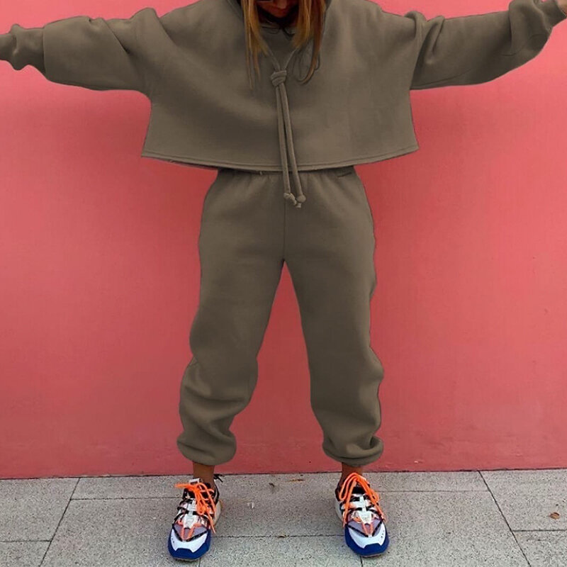 Fashion Loose Casual Hoodie Suit Two Piece Set Womens Tracksuits  Womens Solid Color Two Piece Sets Thick Warm Suits