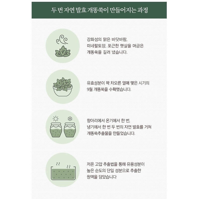MISSHA Time Revolution Artemisia Pack Foam Cleanser 150ml Brightening Face Wash Skin Care Deep Cleansing Pores Korean cosmetics