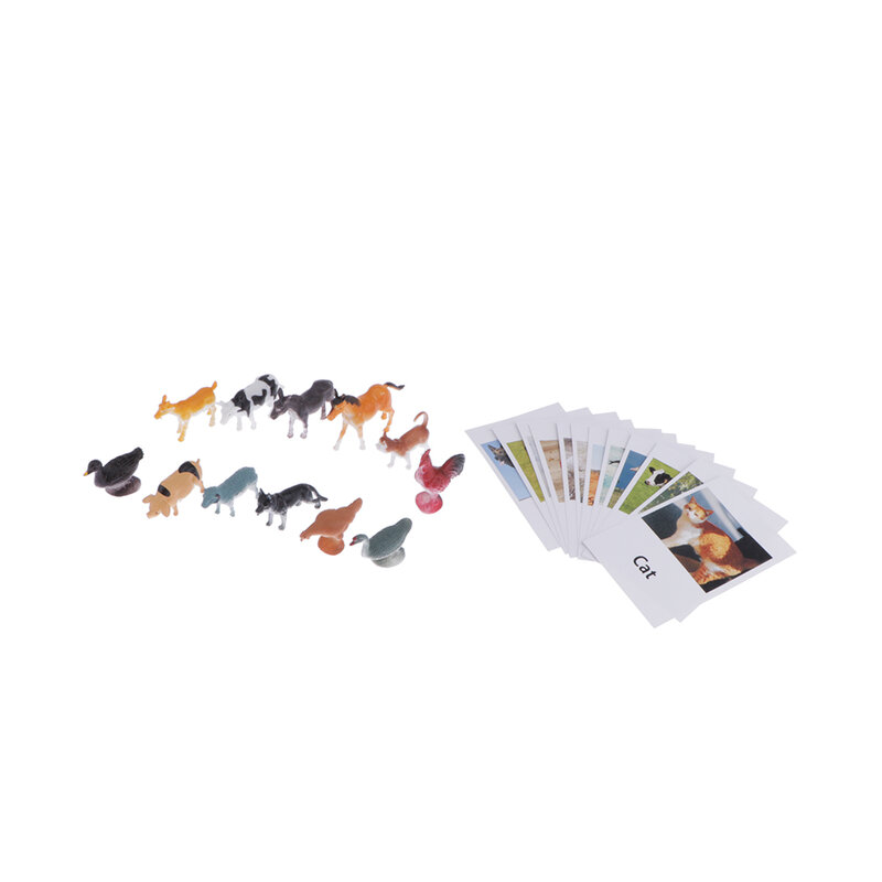 12 paquetes Montessori de aprendizaje, aves de corral, modelo con tarjetas a juego, regalo