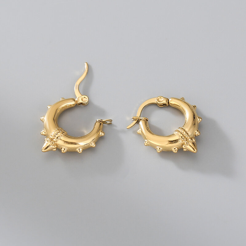 Tarnish Free 316L Stainless Steel Hoop Earrings for Women Popular Ladies Minimalist Circle Gold Earring Hip Hop Jewelry