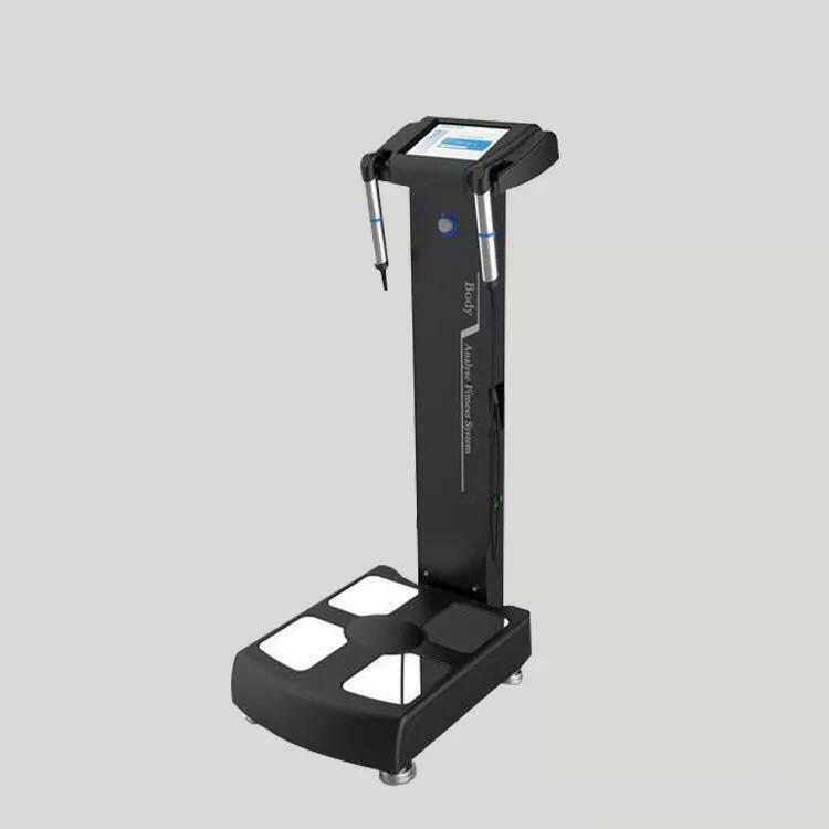 Multifunctional Full Body Health Analyzer Body Composition Analyzer Body Composition Device with Printer and CE Approval