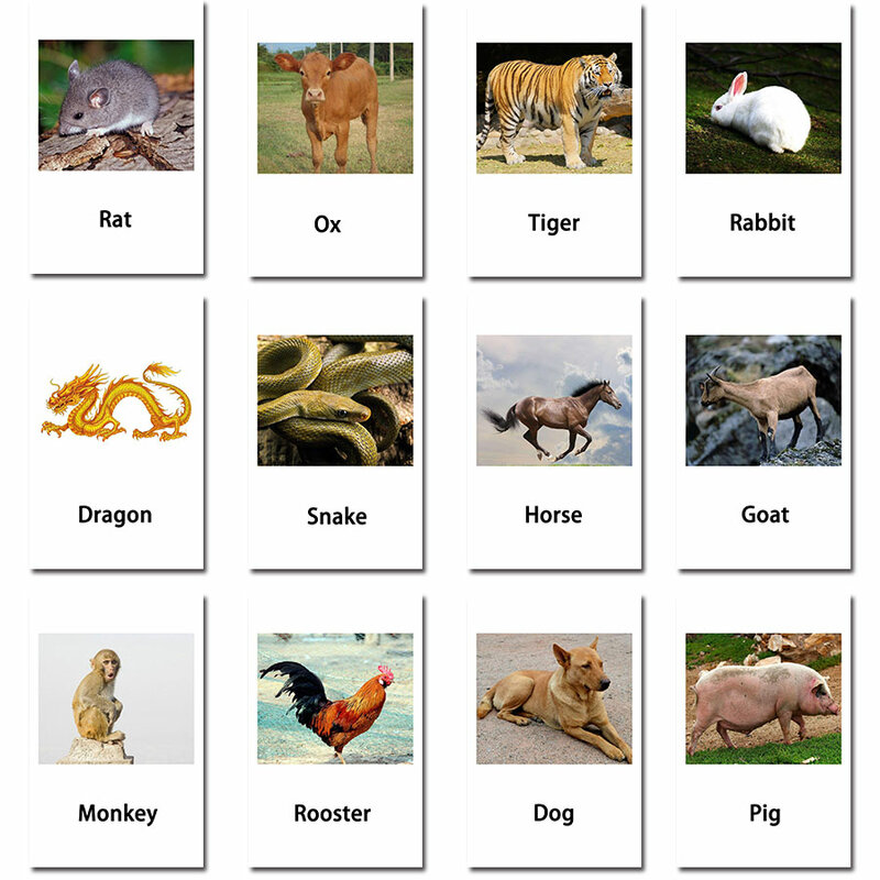 12 pces montessori cartões de aprendizagem animais cartões flash brinquedos educativos para crianças material de aprendizagem da língua para crianças