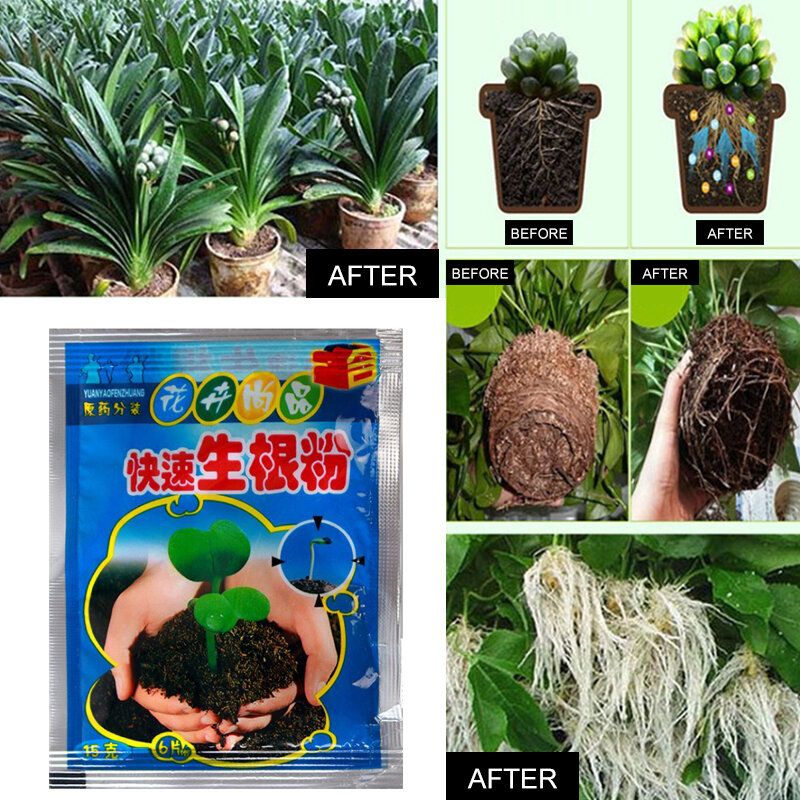 Ty rápido enraizamento em pó 1pc extra rápido abt raiz planta flor transplante fertilizante crescimento da planta melhorar a sobrevivência decoração do jardim