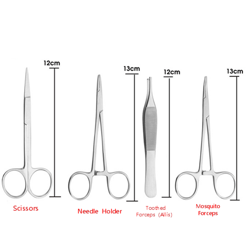 Kit de entrenamiento de sutura de goma de dientes orales, piel humana Artificial de silicona, tipos comunes de heridas dentales, práctica y entrenamiento de dentista