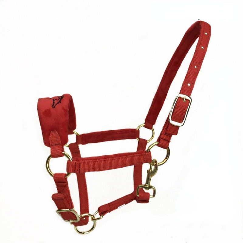 Horse Bridle  Equestrian Supplies Horse Equipment  Comfortable Adjustable Durable Horse Halter
