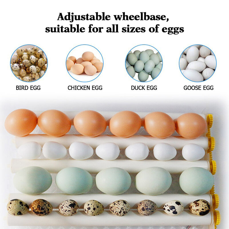 Automatische 36 Eier Inkubator Turner Grübler Vogel Feuchtigkeit Sensor Intelligente Erwärmung Inkubatoren für Wachtel Küken Geflügel Hatcher