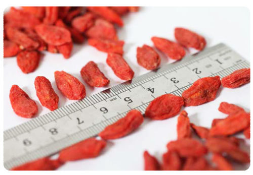 Najwyższej jakości czerwone jagody Goji chiński Wolfberry niesplik herbatę ziołową klasy 5A zdrowia herbaty Goji Berrie