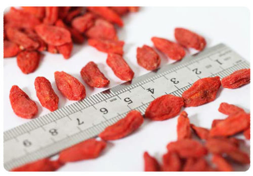 Top Quality RED Goji Berry Chinês Wolfberry Nêspera No Chá de Ervas Grau 5A Saúde Chá Goji Berrie