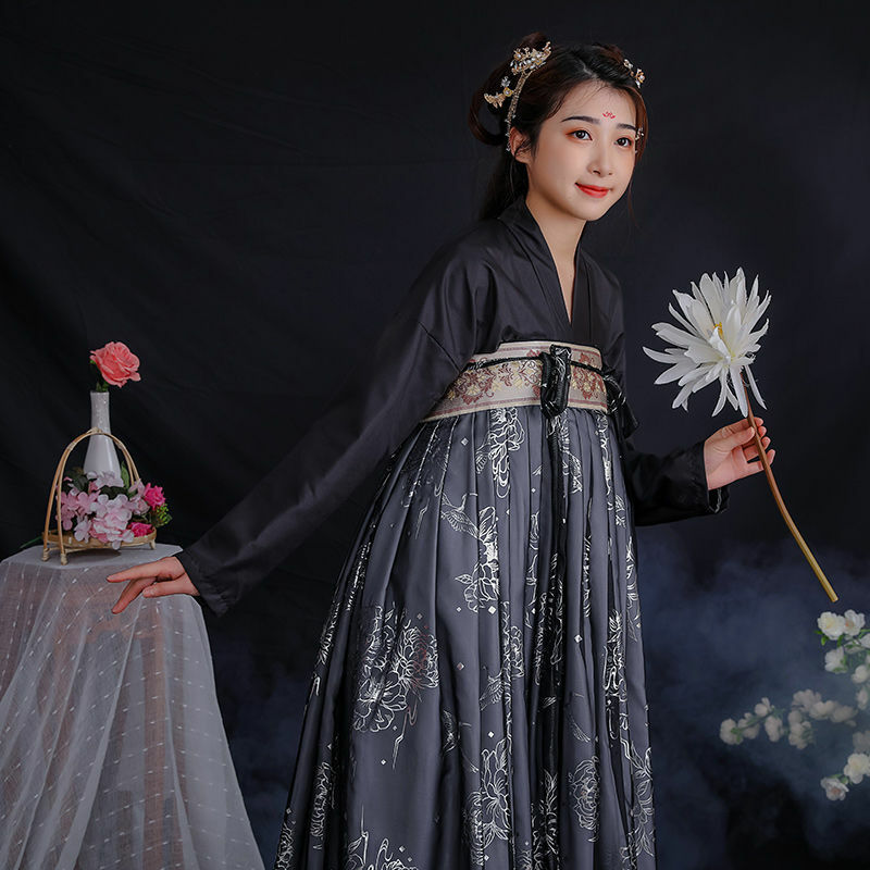 السيدات الجنية تأثيري الصينية القديمة تانغ البدلة الشعبية فستان الأميرة مهرجان وتتسابق الأسود ملابس رقص Hanfu دعوى النساء