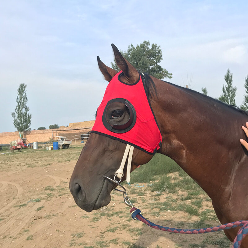 Forniture per imbracature di alta qualità copertura per imbracatura maschera per gli occhi antivento occhiali da corsa di velocità con maschera a rete copertura per testa di cavallo a prova di trachoma