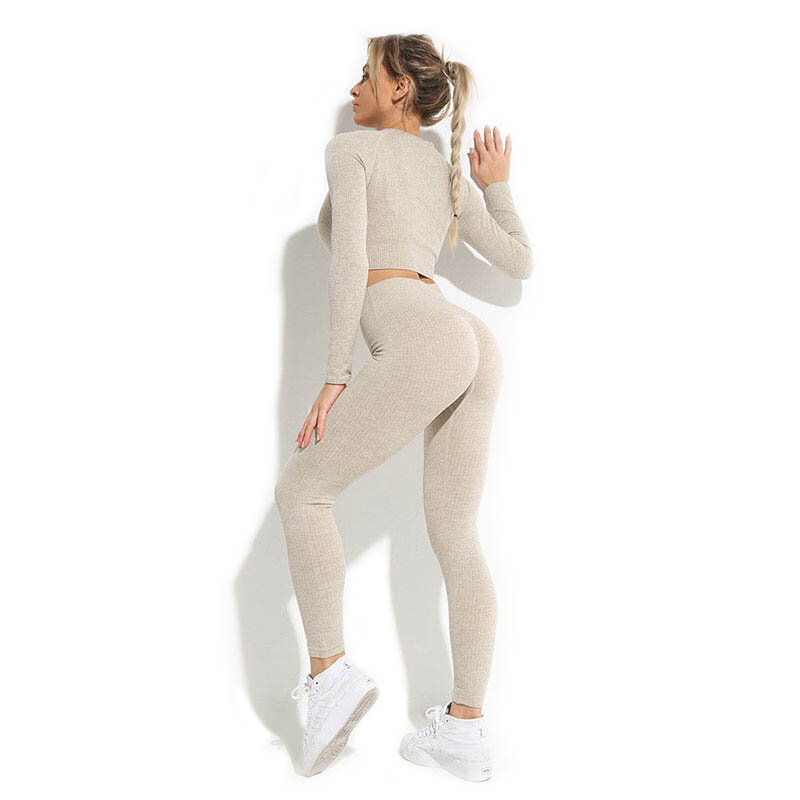 2/3 pçs sem costura feminino conjunto de yoga terno do esporte roupas de ginástica leggings de fitness roupas de yoga de manga longa roupas de treino