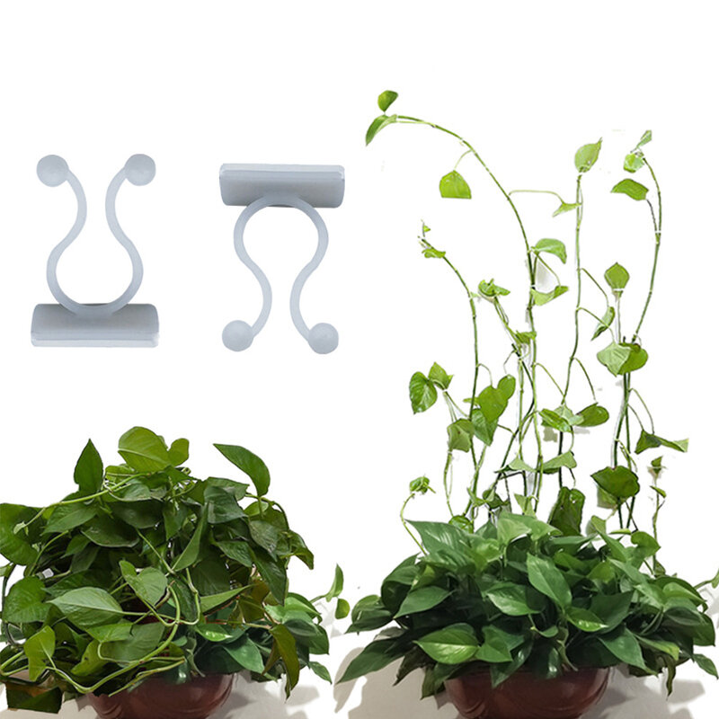 100Pcs Self-Adhesive Plant Climbing Wall Fixture Clips Home Vine Hanging Holder For Home Garden Wall Sticky Hook Garden Tool
