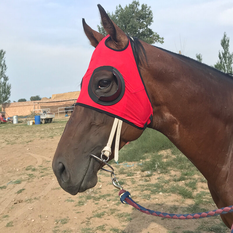 Máscara de olho à prova de vento, resistente ao vento, óculos de corrida, com máscara de malha, cobertura para cabeça de cavalo