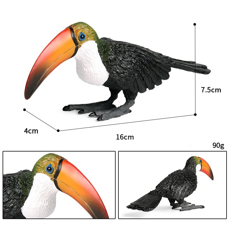 นกสัตว์ Static จำลอง Toucan สัตว์ของเล่นรุ่น Action การเรียนรู้วิทยาศาสตร์การศึกษาของขวัญนก/ชุด