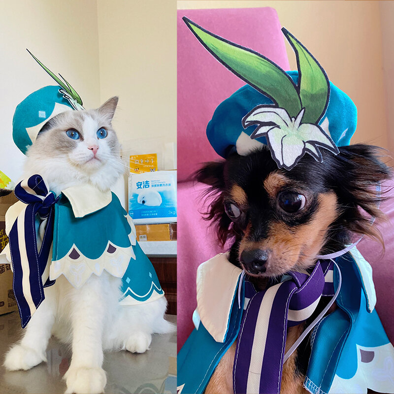 Uniforme de impacto Genshin para mascotas, ropa Kawaii Venti, capa para gato y perro, abrigo, sombrero, utilería para disfraz, suministros para mascotas