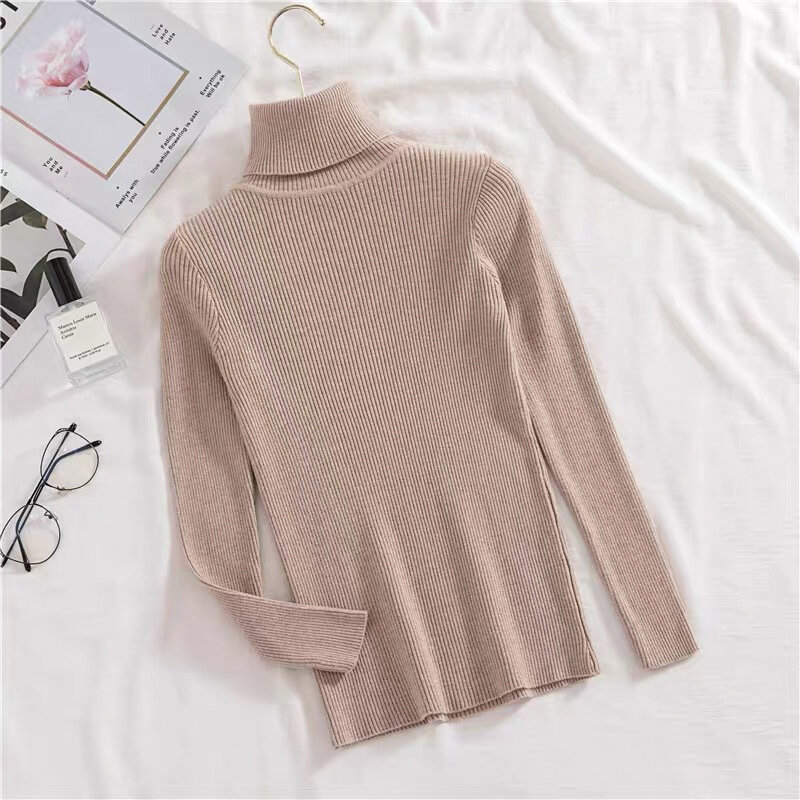 QRWR 2020 Autumn Winter Women Sweaters Slim Fit Knitted Female Turtleneck Casual Solid Color Elasticity Basic Sweater Women