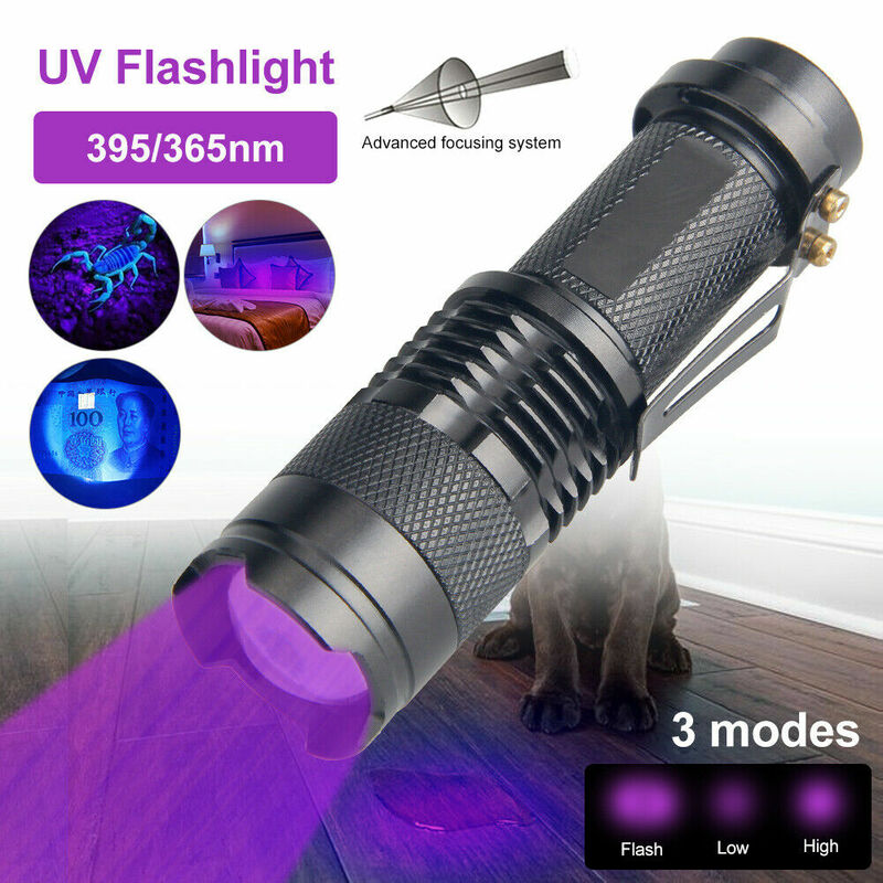 Linterna Led ultravioleta D5 UV/luz negra, lámpara de inspección de 365/395 nm, Zoom, Detector de manchas de orina de mascotas