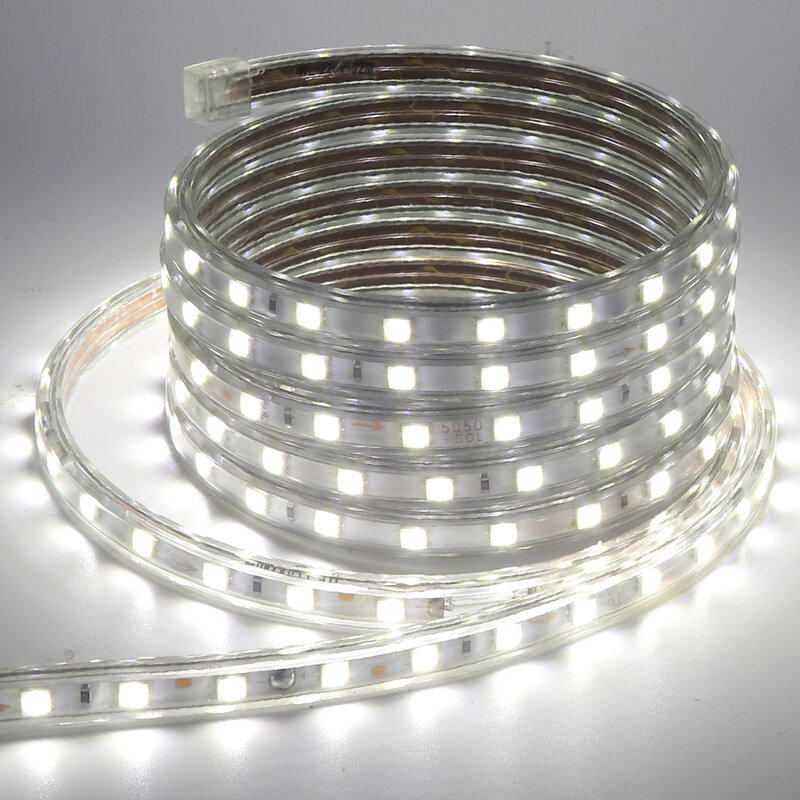 Tira de luces LED Flexible para decoración del hogar, 220V, 110V, 60LED/M, cinta de luces impermeable con enchufe de interruptor, 1m ~ 5050 m