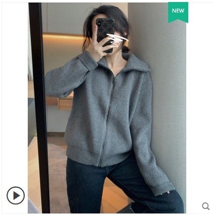 Sweater Turtleneck Wanita 2021 Musim Gugur Baru Longgar dan Tidak Aktif