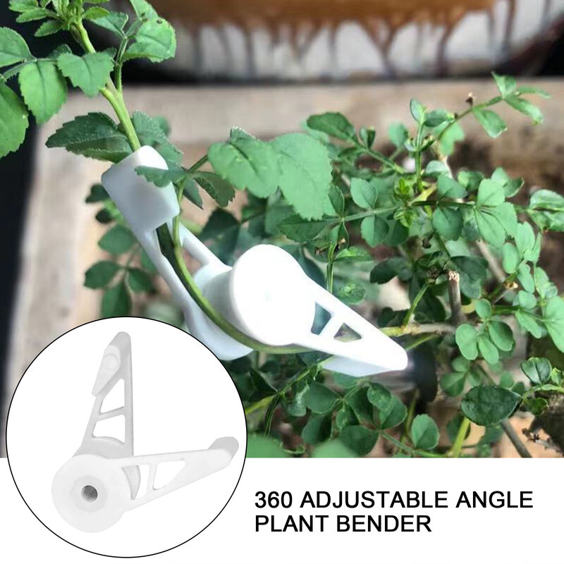 Pince à plante courbée réglable à 360 degrés, outil d'entraînement à faible Stress, support pour le jardin, 10 pièces