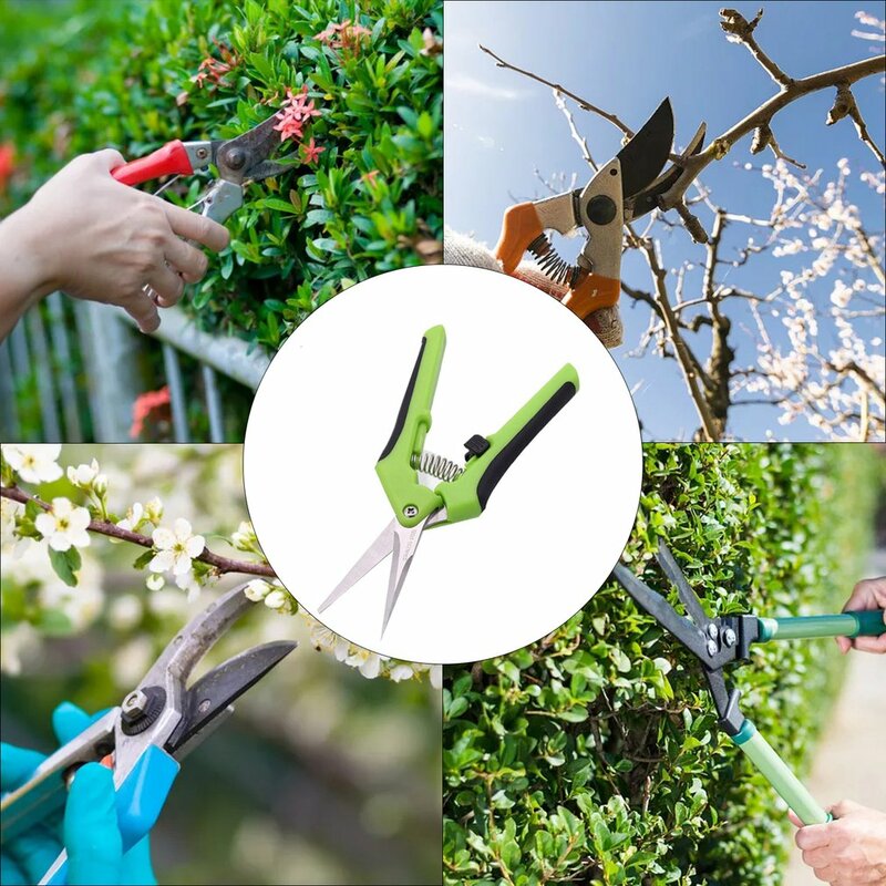 Sécateur de jardin multifonctionnel en acier inoxydable, outils de taille à la main, coupe-Branches en pot, outils de jardinage