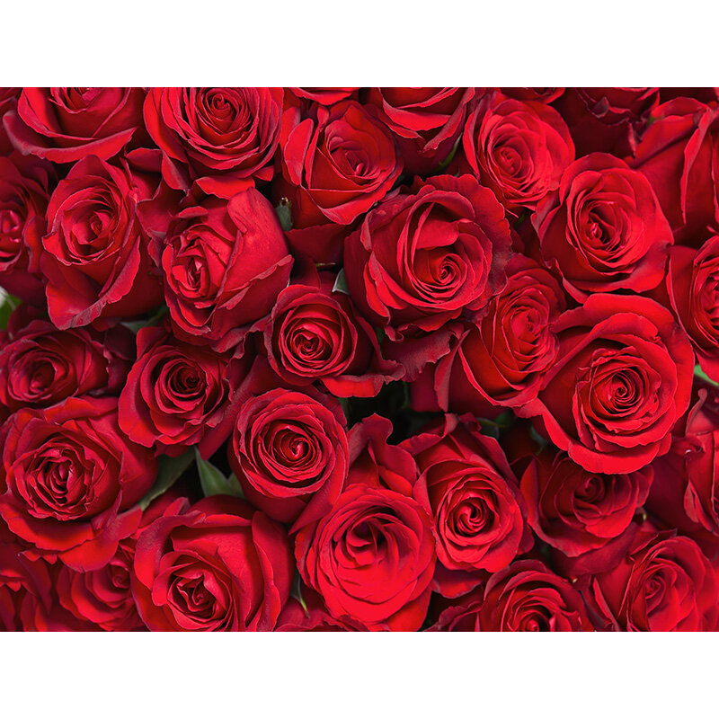 Виниловый фон SHENGYONGBAO на заказ для фотосъемки на День святого Валентина с изображением деревянного цветка для вечерние ринки фон для дня рож...