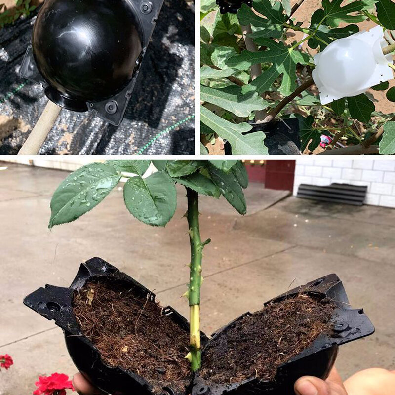 5 sztuk roślin Root rosnące pole wysokiego ciśnienia ogrodnictwo roślin korzeń Ball hodowla Case dla ogród szczepienia Rooting growbox