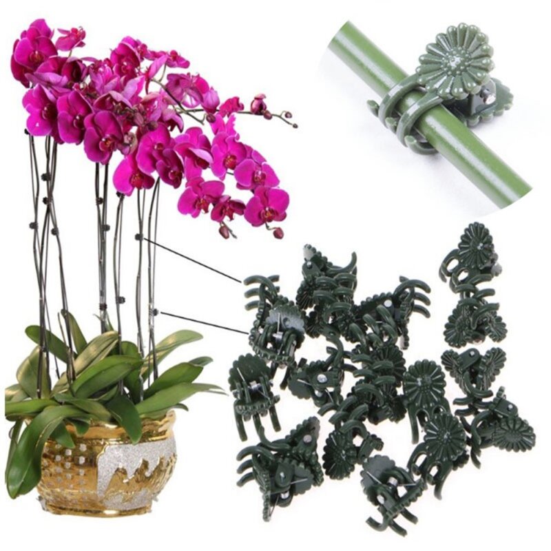 Ganchos de plástico para soporte de plantas, Clip de tallo de orquídeas para soporte de vid, verduras, flores atadas, sujeción de ramas, 50 Uds.