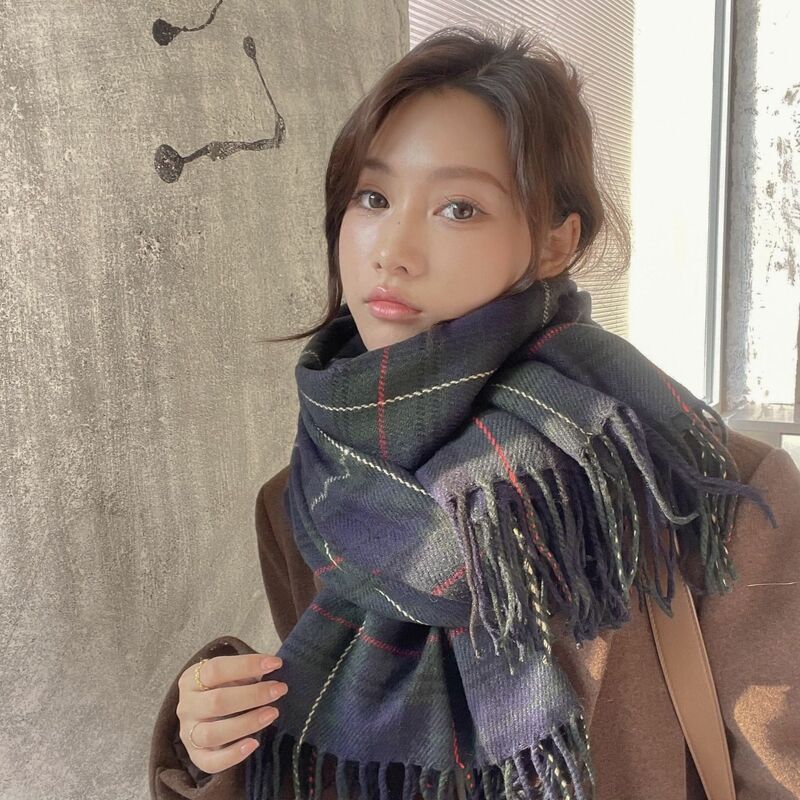 Korean Luxury New Plaid Women Fringed Shawl Wholesale Imitation Cashmere Winter Warmth Thick Cute Fashion Temperament Long Scarf