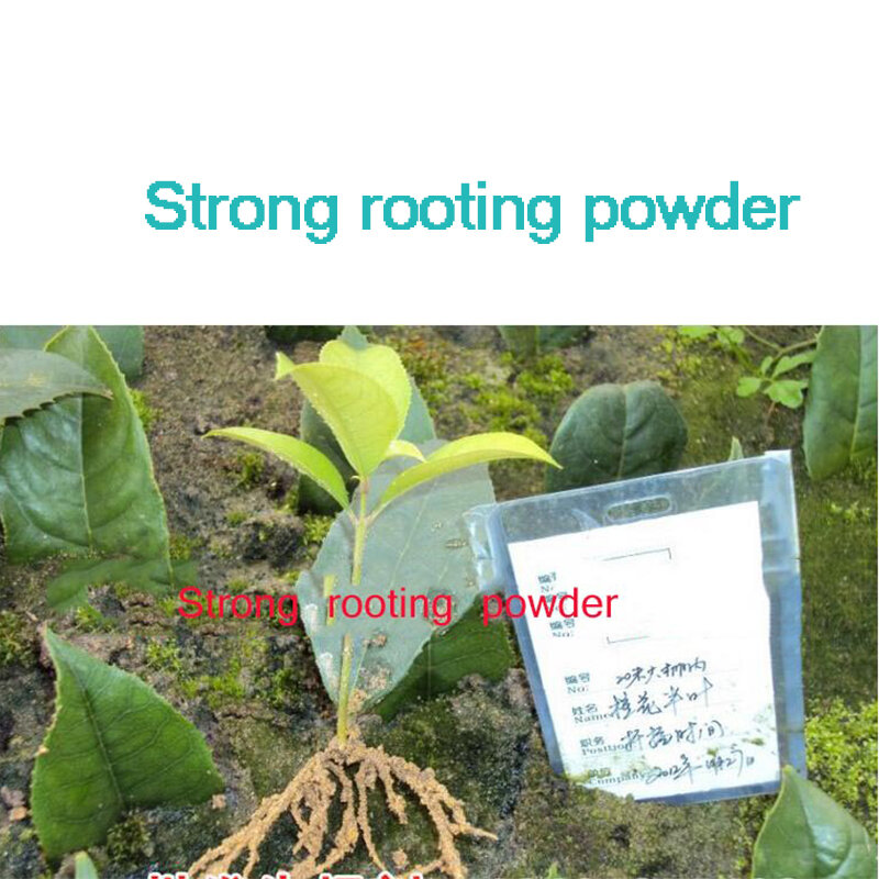 2個の花の強い発根パウダー成長する根の苗の強い回復根の活力発芽補助肥料園芸薬