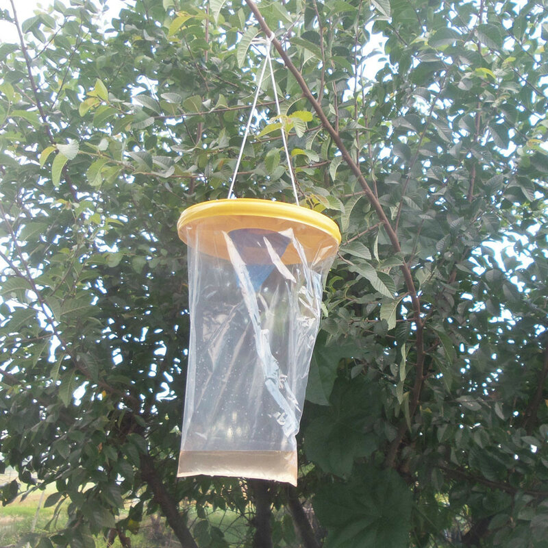 2021top Home Decor Rode Drosophila Fly Trap Top Catcher De Ultieme Fly Catcher Insect Bug Killer Домашний Декор