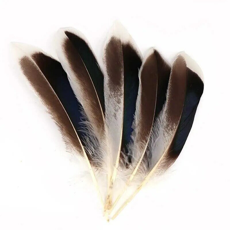 The New 20pcs/lot Nature Duck Feather 8-13cm Christmas Supplies Feathers for Crafts