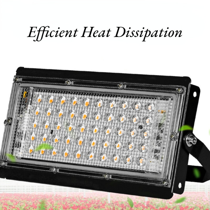 Lampe de croissance LED Lamp-50W/100W, étanche, à spectre complet, avec Dissipation de la chaleur, éclairage de remplissage pour plantes, pépinière et légumes