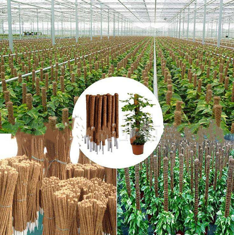 Plant Ondersteuning Moss Pole Pole Moss Stick Voor Klimmen Planten Ondersteuning Uitbreiding Tuin Ondersteuning Groothandel En Dropshipping