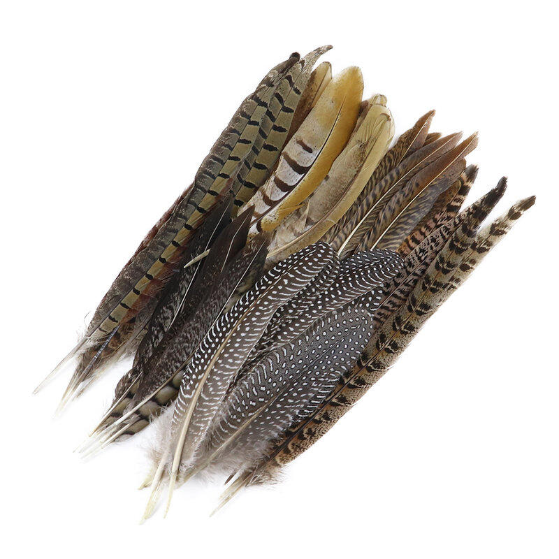 Multiple Style Natural Pheasant Chicken Feathers DIY Stage Performance Decoration Carnival Jewelry Accessories Plumes For Crafts