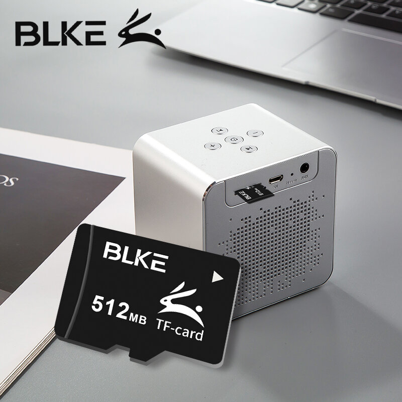BLKE – carte mémoire Micro sd tf, 8 go, 4 go, 2 go, 512M, 256M, 128 mo, pour MP3/MP4, Mini haut-parleur, Radio, son, casque