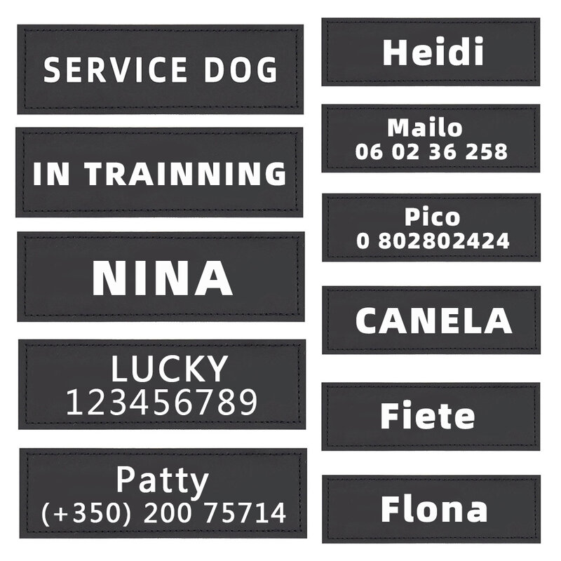 Etiquetas de identificación personalizadas para perros y gatos, arnés con nombre personalizado para mascotas, parche adhesivo para Collar, accesorios para mascotas, 2 uds.